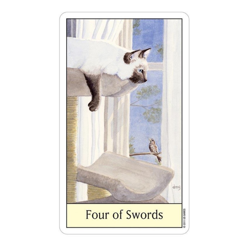 Tarot Kocie Oko 12x7 cm Gry ka – Tarot Deck With Guidebook recenzja i cena